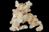 Peach Stilbite Crystal Cluster - Maharashtra, India #102359-1